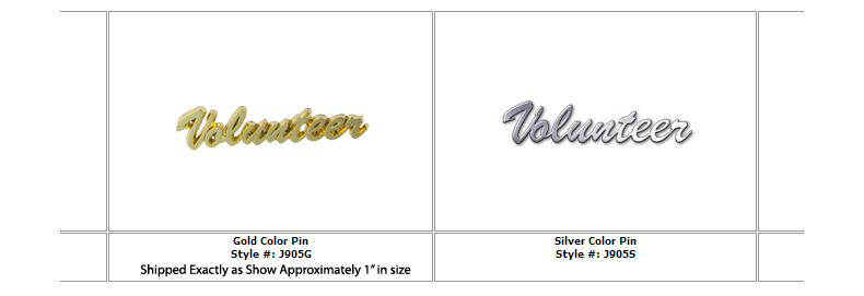 Volunteer Large Gold Pin Volunteer Large Gold Pin